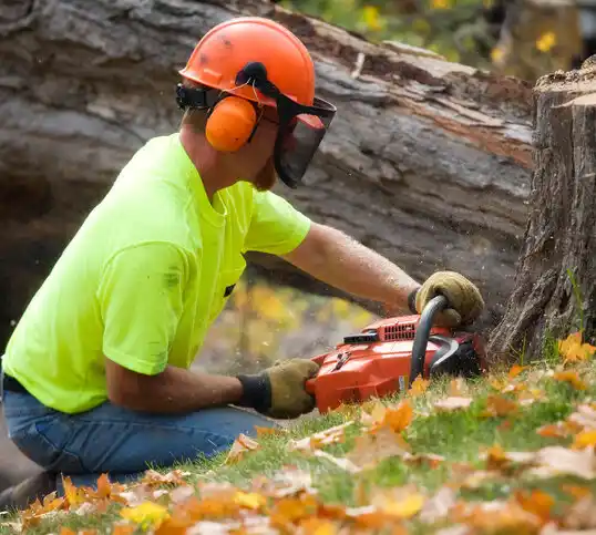 tree services Peekskill